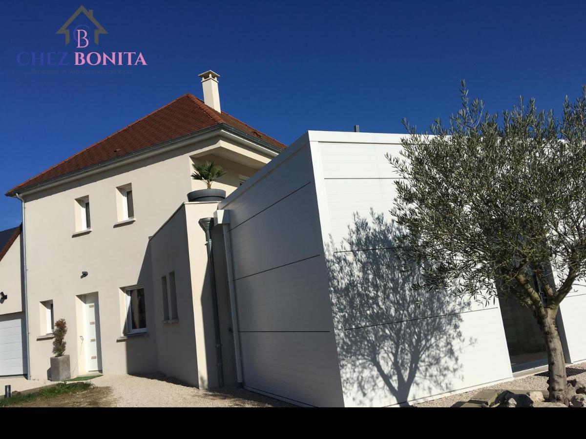 Chez Bonita Hotel Chouzy-sur-Cisse Exterior photo